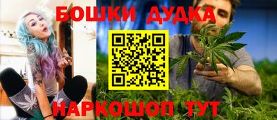 дмт Обь