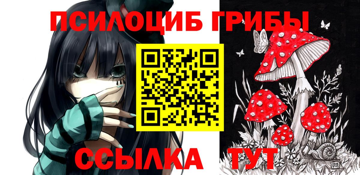 Псилоцибиновые грибы Magic Shrooms Рузаевка
