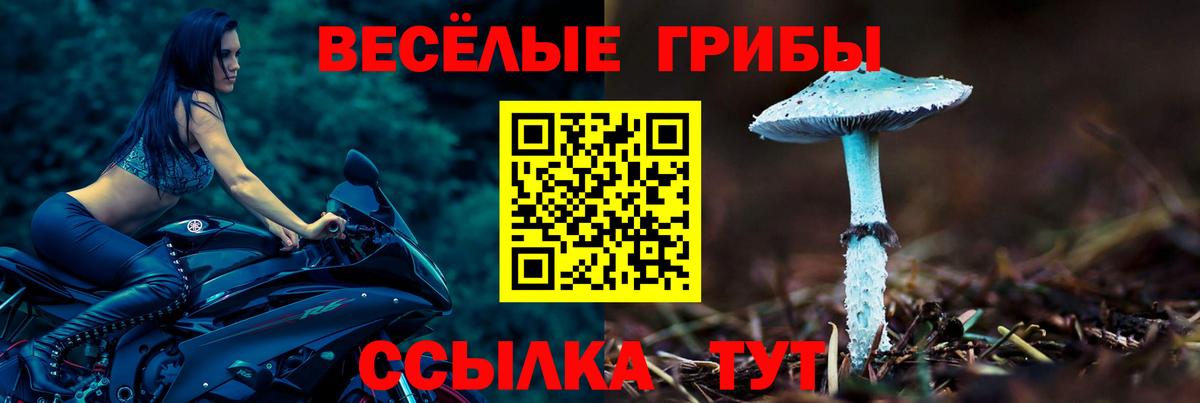 Галлюциногенные грибы Psilocybine cubensis  Вход с VPN  Рузаевка 